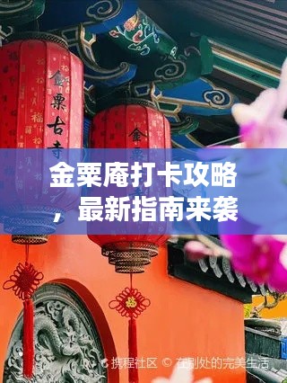 金粟庵打卡攻略，最新指南来袭！