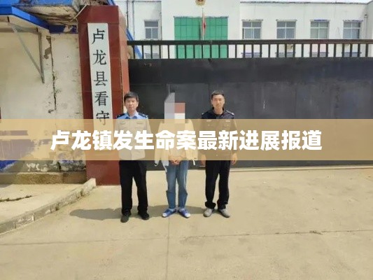 卢龙镇发生命案最新进展报道