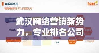 武汉网络营销新势力，专业排名公司助力企业快速腾飞