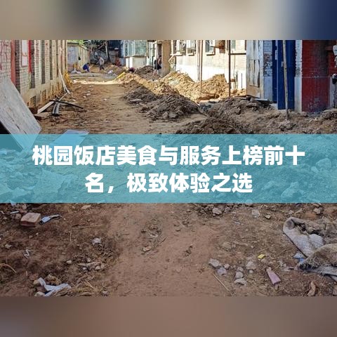 桃园饭店美食与服务上榜前十名，极致体验之选