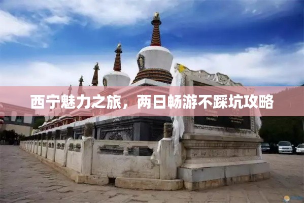 西宁魅力之旅，两日畅游不踩坑攻略