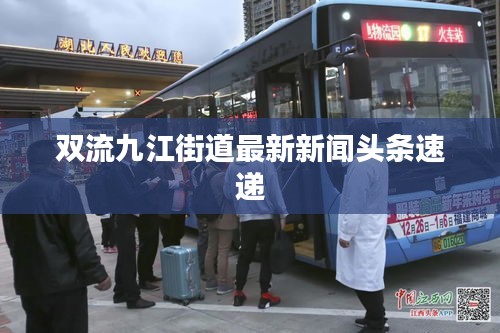 双流九江街道最新新闻头条速递
