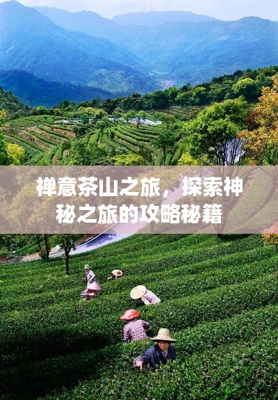 禅意茶山之旅，探索神秘之旅的攻略秘籍