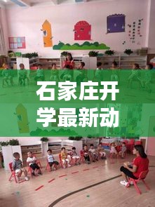 石家庄开学最新动态，今日开学情况一览