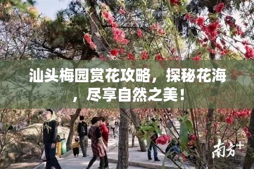 汕头梅园赏花攻略，探秘花海，尽享自然之美！