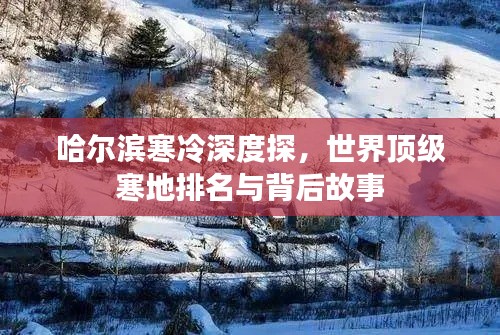 哈尔滨寒冷深度探，世界顶级寒地排名与背后故事