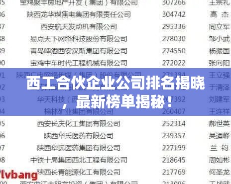 西工合伙企业公司排名揭晓，最新榜单揭秘！
