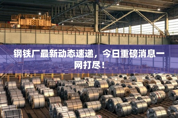 钢铁厂最新动态速递，今日重磅消息一网打尽！