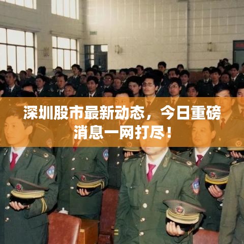 深圳股市最新动态，今日重磅消息一网打尽！