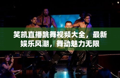 笑凯直播跳舞视频大全，最新娱乐风潮，舞动魅力无限