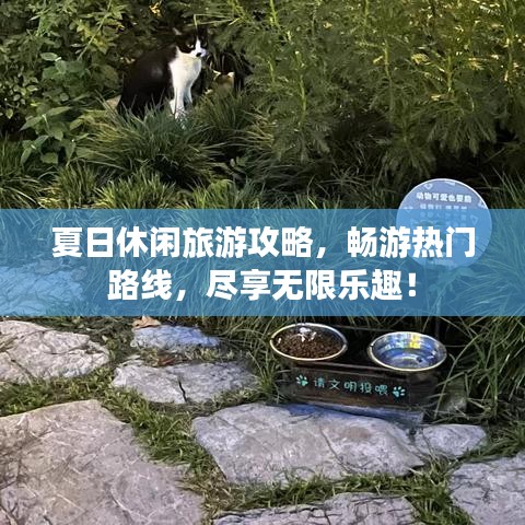 新闻动态 第113页
