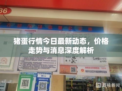 猪蛋行情今日最新动态，价格走势与消息深度解析