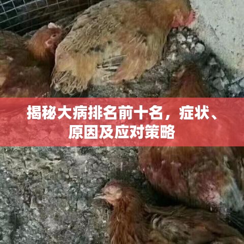 揭秘大病排名前十名，症状、原因及应对策略