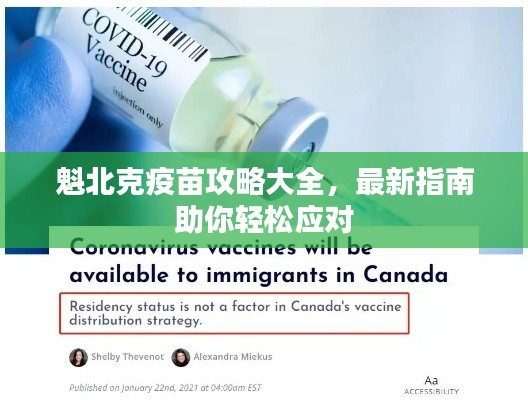 魁北克疫苗攻略大全，最新指南助你轻松应对