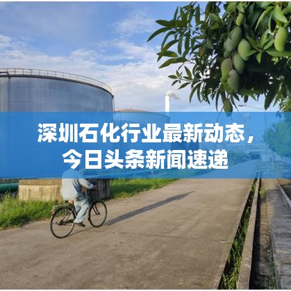 深圳石化行业最新动态，今日头条新闻速递