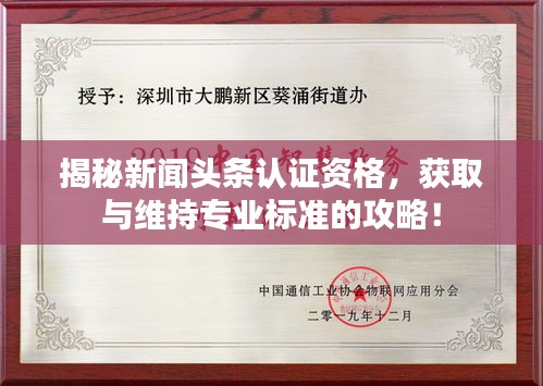 揭秘新闻头条认证资格，获取与维持专业标准的攻略！