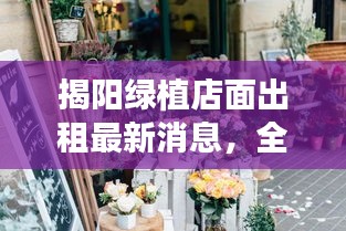 揭阳绿植店面出租最新消息，全面更新，一睹即知
