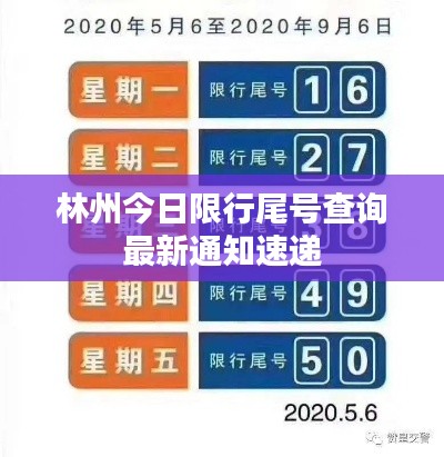 林州今日限行尾号查询最新通知速递