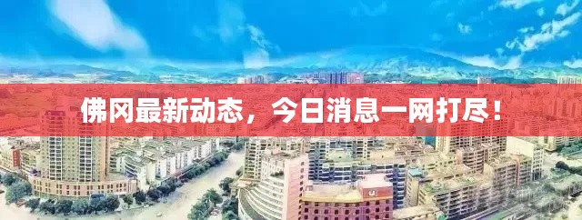 佛冈最新动态，今日消息一网打尽！