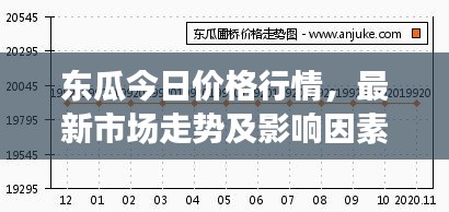 东瓜今日价格行情，最新市场走势及影响因素深度解析