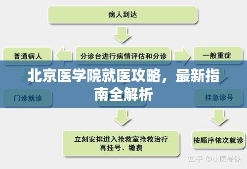 声如洪钟 第2页