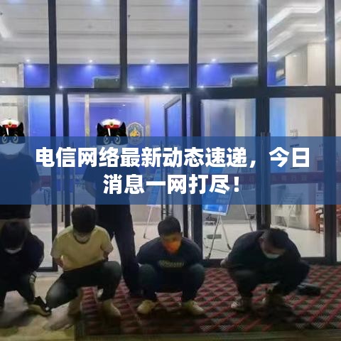 电信网络最新动态速递，今日消息一网打尽！
