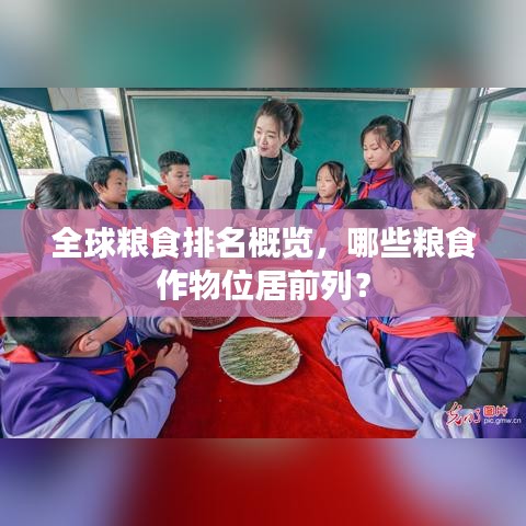 罗含梦鸟 第2页