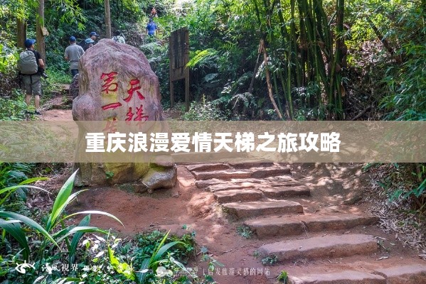 令行禁止 第2页