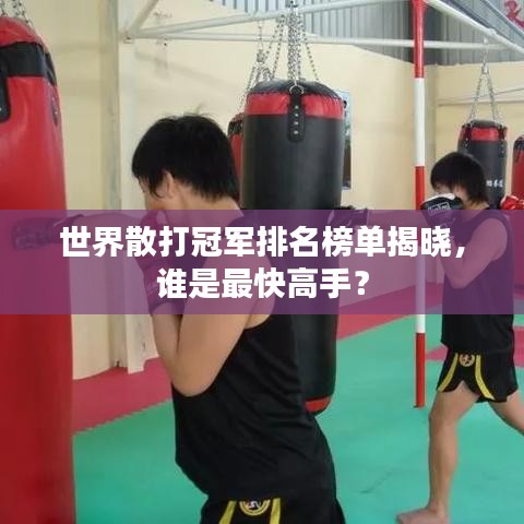 世界散打冠军排名榜单揭晓，谁是最快高手？