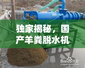 独家揭秘，国产羊粪脱水机公司排名及行业影响力，百度收录必备标题！