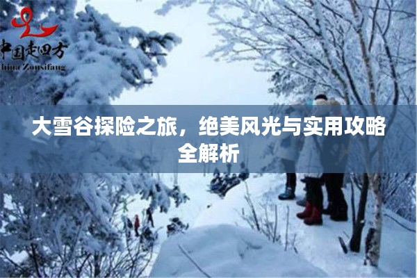 大雪谷探险之旅，绝美风光与实用攻略全解析