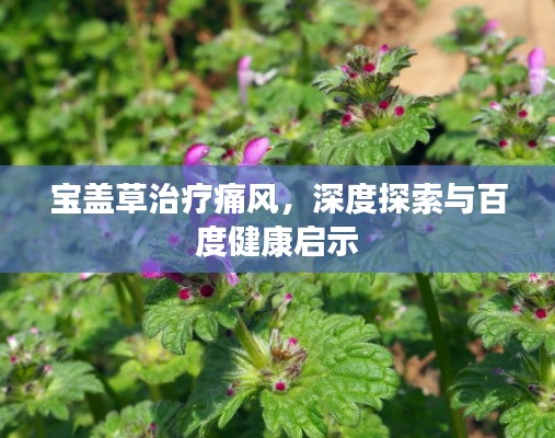 宝盖草治疗痛风，深度探索与百度健康启示