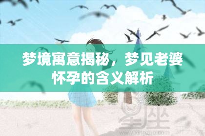 梦境寓意揭秘，梦见老婆怀孕的含义解析