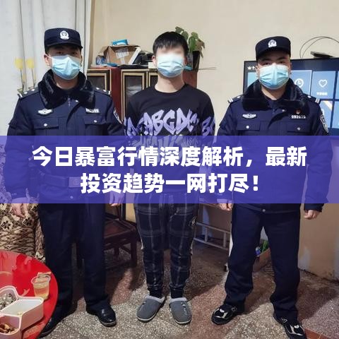 今日暴富行情深度解析，最新投资趋势一网打尽！
