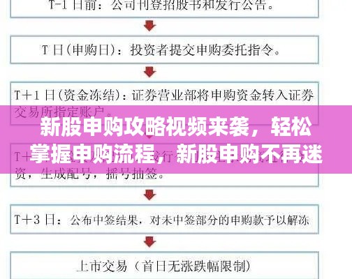 新股申购攻略视频来袭，轻松掌握申购流程，新股申购不再迷茫