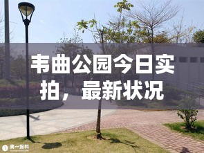 韦曲公园今日实拍，最新状况全解析
