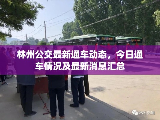林州公交最新通车动态，今日通车情况及最新消息汇总