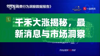 千禾大涨揭秘，最新消息与市场洞察深度解读