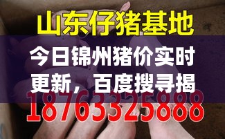 工程案例 第117页