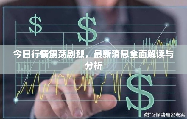 今日行情震荡剧烈，最新消息全面解读与分析