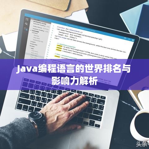 Java编程语言的世界排名与影响力解析