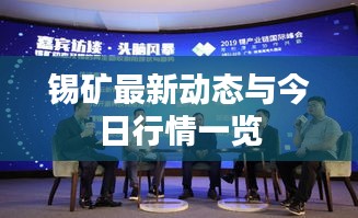 锡矿最新动态与今日行情一览