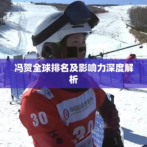 冯贺全球排名及影响力深度解析