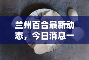 兰州百合最新动态，今日消息一网打尽！