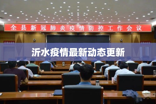 笨鸟先飞 第2页