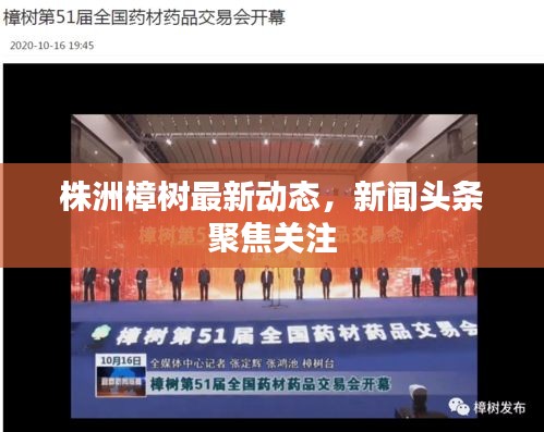 株洲樟树最新动态，新闻头条聚焦关注