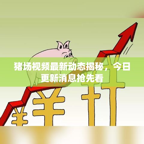 猪场视频最新动态揭秘，今日更新消息抢先看