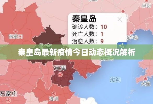 秦皇岛最新疫情今日动态概况解析