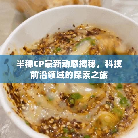 半稀CP最新动态揭秘，科技前沿领域的探索之旅