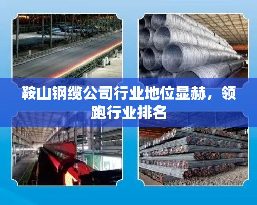 鞍山钢缆公司行业地位显赫，领跑行业排名